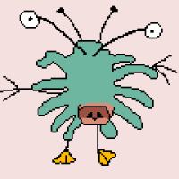 ZwinnyKibic