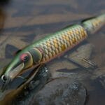 Tajniki prezentacji przynęty w przejrzystej wodzie: jak skrócić przypon, dodać fluorocarbon i nadal łowić ostrożne ryby Przynęta spinningowa w płytkiej, przejrzystej wodzie z liśćmi jesienią
